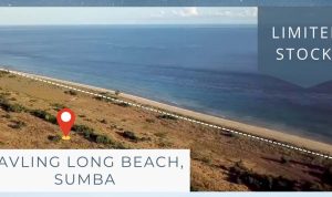 land for sale at sumba