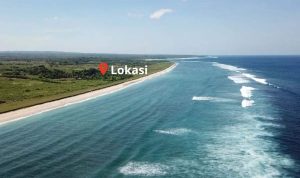 land for sale at sumba