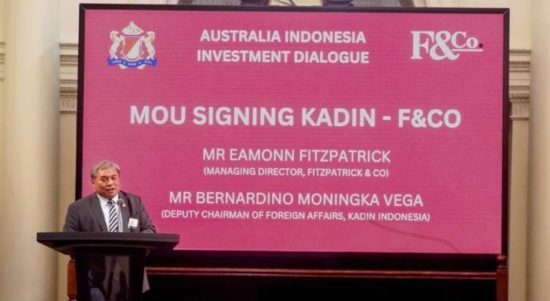 kadin indonesia