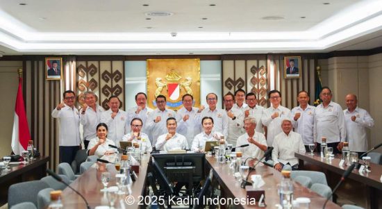 kadin indonesia