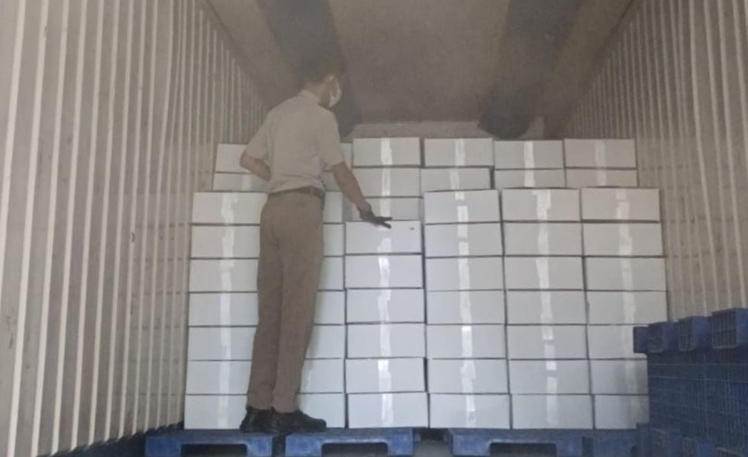 badan karantina indonesia