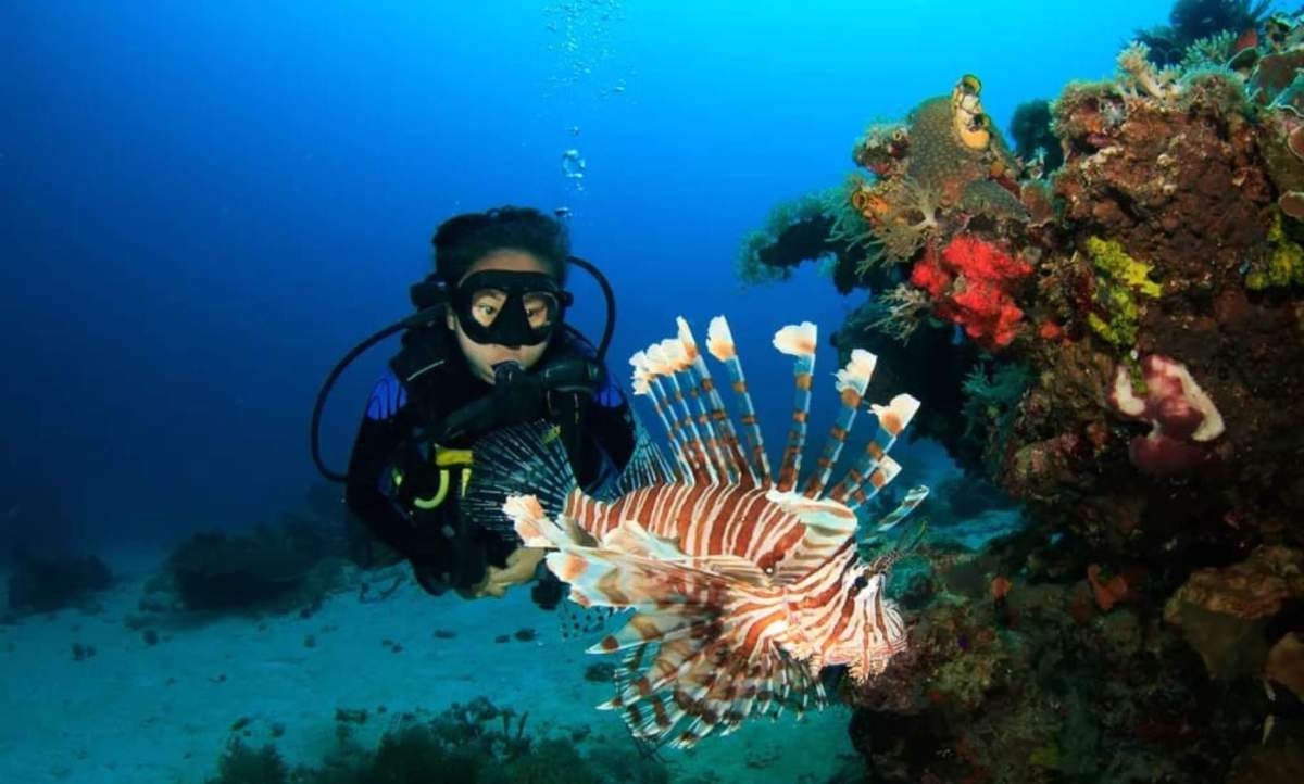diving labuan bajo